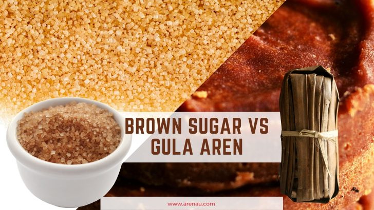 brown sugar vs gula aren